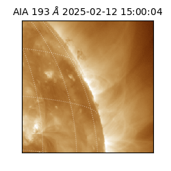 saia - 2025-02-12T15:00:04.843000