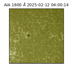 saia - 2025-02-12T04:00:14.125000