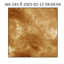 saia - 2025-02-12T09:00:04.843000