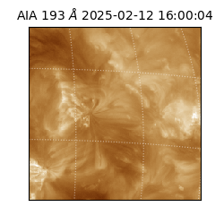 saia - 2025-02-12T16:00:04.844000