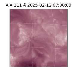 saia - 2025-02-12T07:00:09.625000