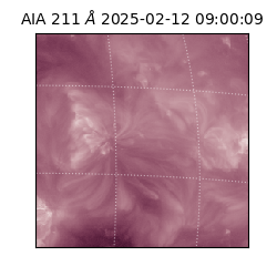 saia - 2025-02-12T09:00:09.626000