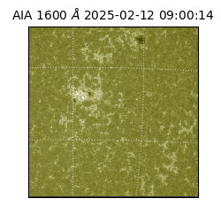 saia - 2025-02-12T09:00:14.125000