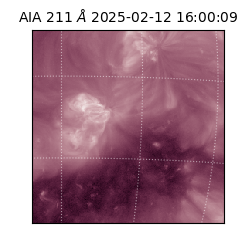 saia - 2025-02-12T16:00:09.633000