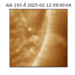 saia - 2025-02-12T09:00:04.843000