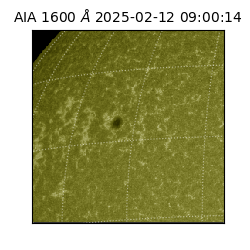 saia - 2025-02-12T09:00:14.125000