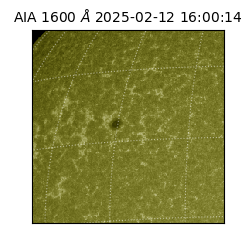 saia - 2025-02-12T16:00:14.125000