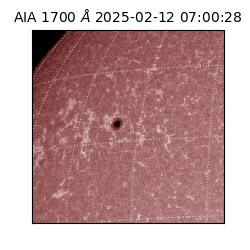 saia - 2025-02-12T07:00:28.717000