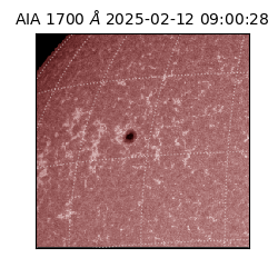 saia - 2025-02-12T09:00:28.719000