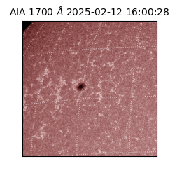 saia - 2025-02-12T16:00:28.711000