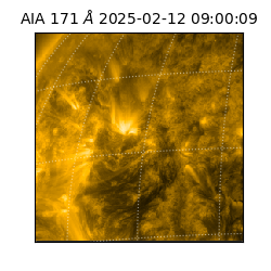 saia - 2025-02-12T09:00:09.350000