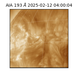 saia - 2025-02-12T04:00:04.843000