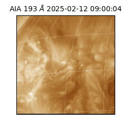 saia - 2025-02-12T09:00:04.843000