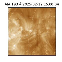 saia - 2025-02-12T15:00:04.843000