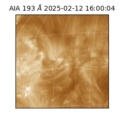 saia - 2025-02-12T16:00:04.844000