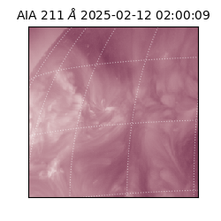saia - 2025-02-12T02:00:09.630000