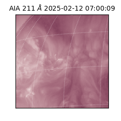 saia - 2025-02-12T07:00:09.625000