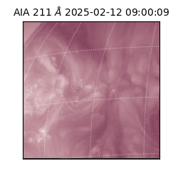 saia - 2025-02-12T09:00:09.626000