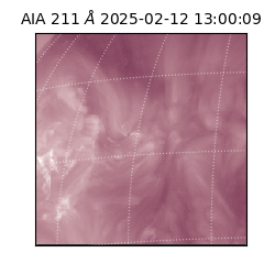 saia - 2025-02-12T13:00:09.625000
