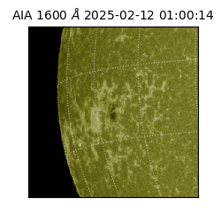 saia - 2025-02-12T01:00:14.125000