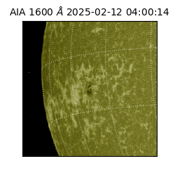 saia - 2025-02-12T04:00:14.125000