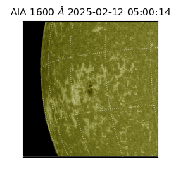 saia - 2025-02-12T05:00:14.125000