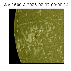 saia - 2025-02-12T09:00:14.125000