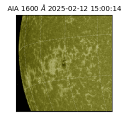 saia - 2025-02-12T15:00:14.125000