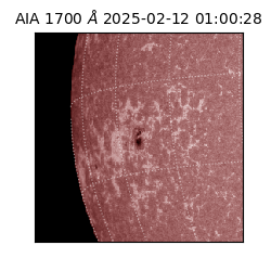 saia - 2025-02-12T01:00:28.718000