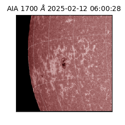 saia - 2025-02-12T06:00:28.718000