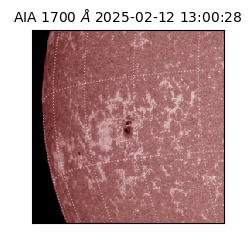 saia - 2025-02-12T13:00:28.733000