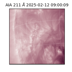 saia - 2025-02-12T09:00:09.626000