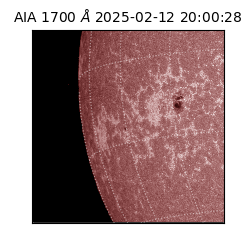 saia - 2025-02-12T20:00:28.720000