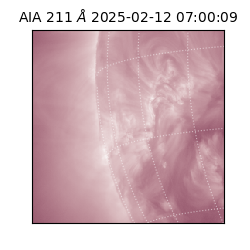 saia - 2025-02-12T07:00:09.625000