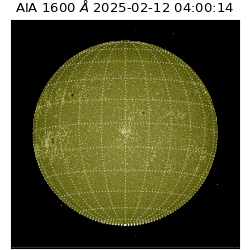 saia - 2025-02-12T04:00:14.125000