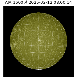 saia - 2025-02-12T08:00:14.125000