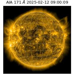 saia - 2025-02-12T09:00:09.350000