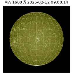 saia - 2025-02-12T09:00:14.125000