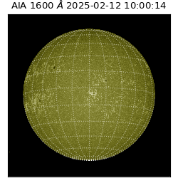 saia - 2025-02-12T10:00:14.116000