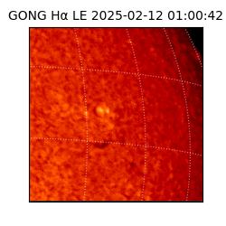 gong - 2025-02-12T01:00:42