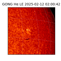 gong - 2025-02-12T02:00:42