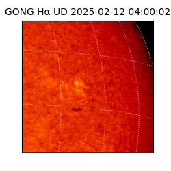 gong - 2025-02-12T04:00:02