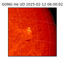 gong - 2025-02-12T06:00:02