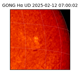 gong - 2025-02-12T07:00:02