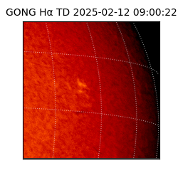 gong - 2025-02-12T09:00:22