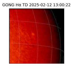 gong - 2025-02-12T13:00:22
