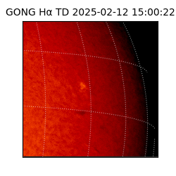 gong - 2025-02-12T15:00:22