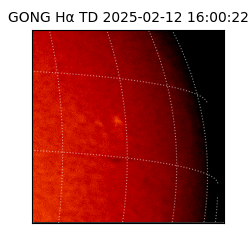 gong - 2025-02-12T16:00:22