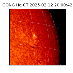 gong - 2025-02-12T20:00:42