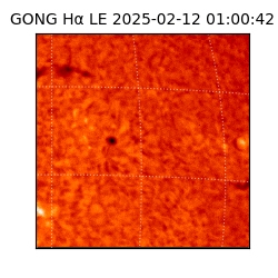 gong - 2025-02-12T01:00:42